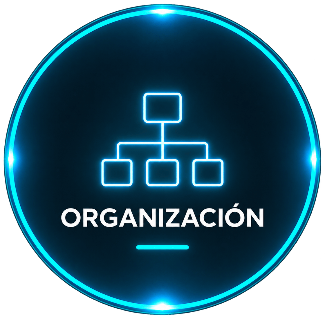 ORGANIZACIÓN